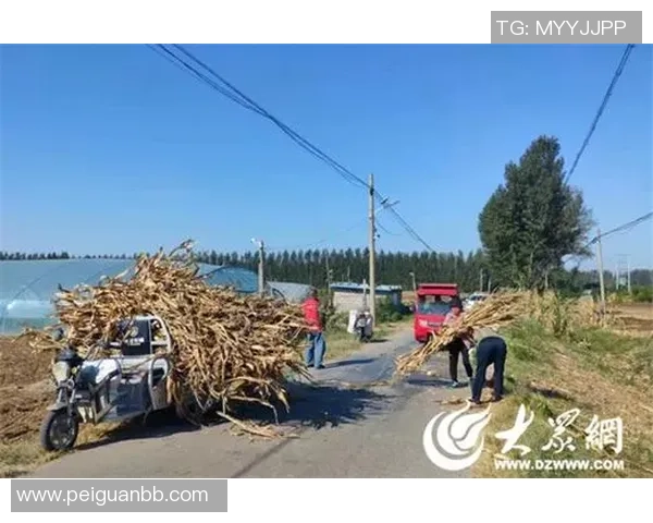 济宁市微山县韩庄镇：兴趣运动会燃动村庄 邻里同乐绘就和美画卷